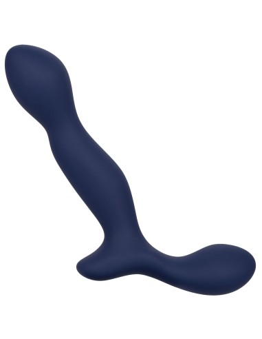Stimulateur de prostate Expert Probe Viceroy 10 x 2.5cm
