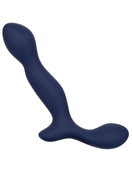 Stimulateur de prostate Expert Probe Viceroy 10 x 2.5cm