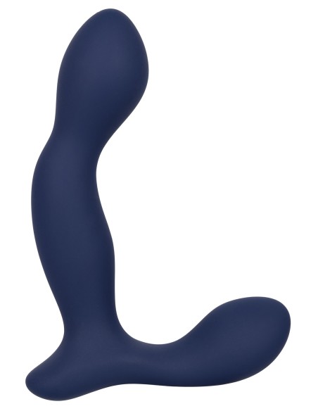 Stimulateur de prostate Expert Probe Viceroy 10 x 2.5cm