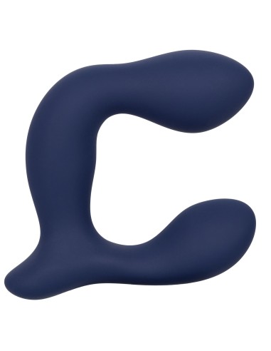 Stimulateur de prostate Expert Probe Viceroy 10 x 2.5cm