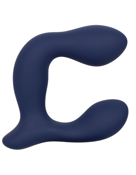 Stimulateur de prostate Expert Probe Viceroy 10 x 2.5cm