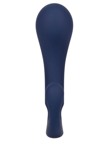 Stimulateur de prostate Direct Probe Viceroy 8 x 3cm