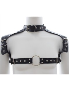 Harnais et Collier Optor Noir