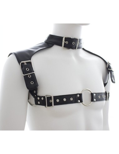 Harnais et Collier Optor Noir
