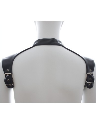 Harnais et Collier Optor Noir