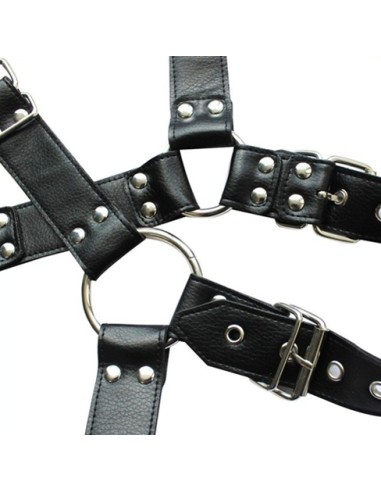 Harnais et Collier Optor Noir