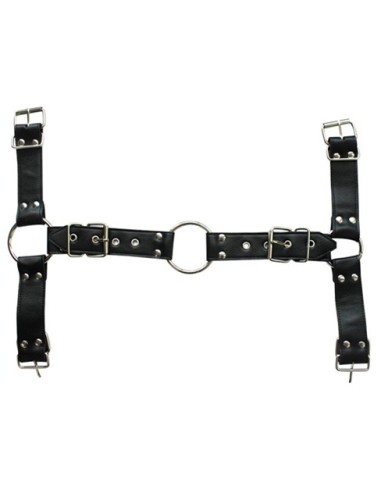 Harnais et Collier Optor Noir
