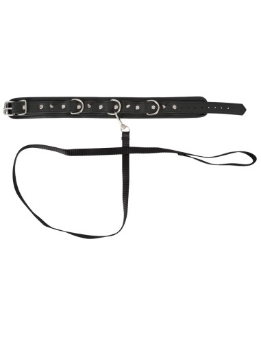 Collier et Laisse Vegan Fetish