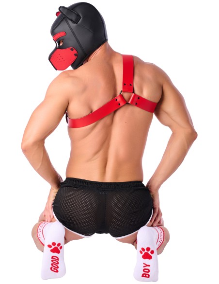 Chaussettes Good Boy Blanc-Rouge Chaussettes Good Boy Blanc-Rouge