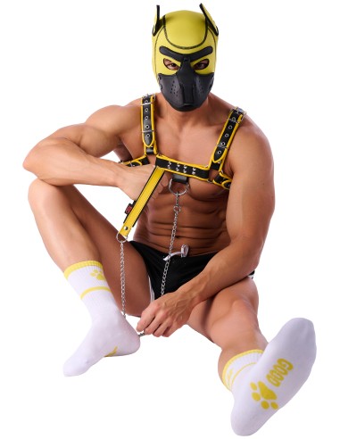 Chaussettes Good Boy Blanc-Jaune