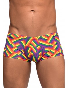 Boxer PRIDE FEST