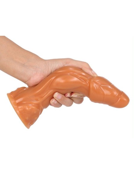 Gode Silicone Arix 18 x 5.5cm Gode Silicone Arix 18 x 5.5cm