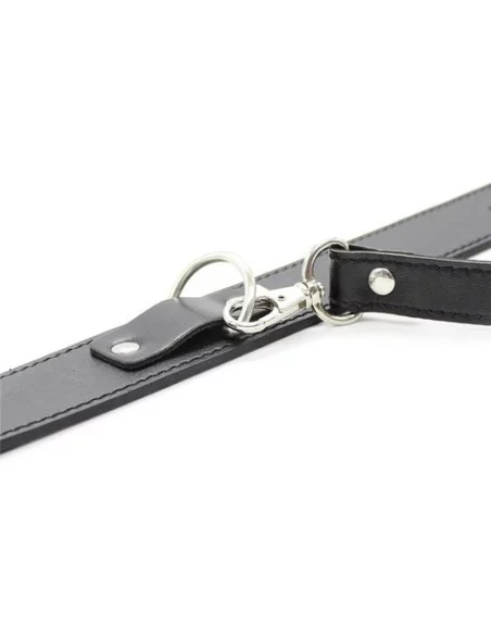 Collier Laisse Premium