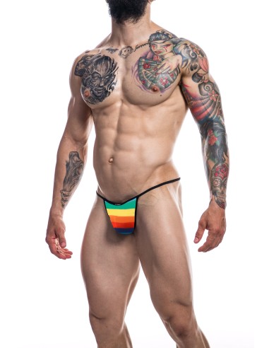 Slip sexy Briefkini Rainbow