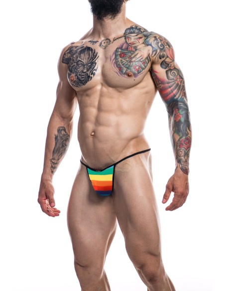 Slip sexy Briefkini Rainbow