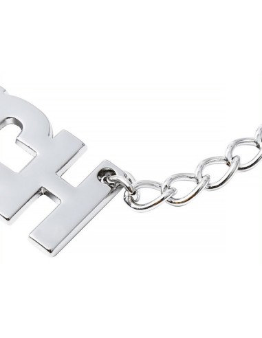 Pince-tétons avec plaque Bitch 40cm