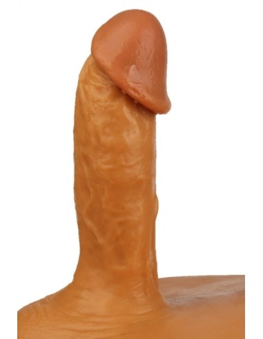 Prothèse Pénis entière - Sexe 15 x 4cm