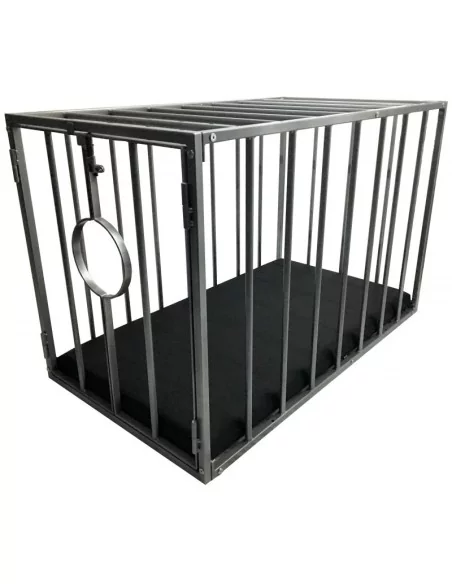 Cage métal BDSM démontable Cage métal BDSM démontable