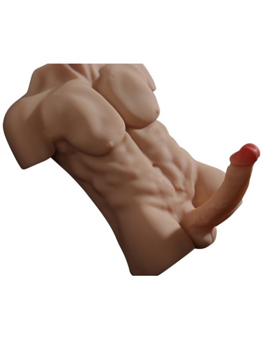 Masturbateur Buste et Pénis articulé Torso Man Sexe de 20cm