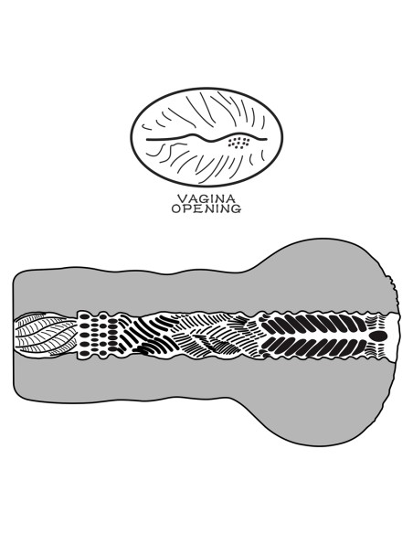 Masturbateur Pussy Alien's Pie n°1 Marron