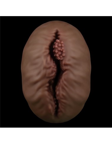 Masturbateur Pussy Alien's Pie n°1 Marron