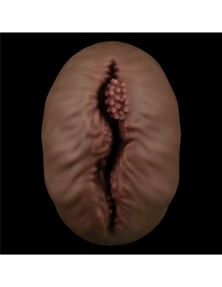 Masturbateur Pussy Alien's Pie n°1 Marron