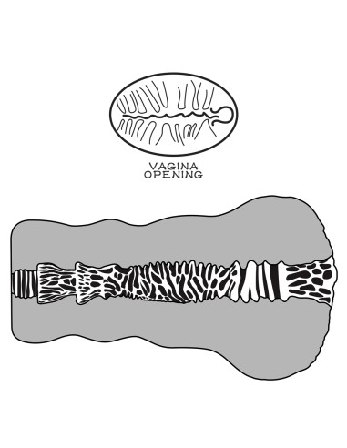 Masturbateur Pussy Alien's Pie n°2