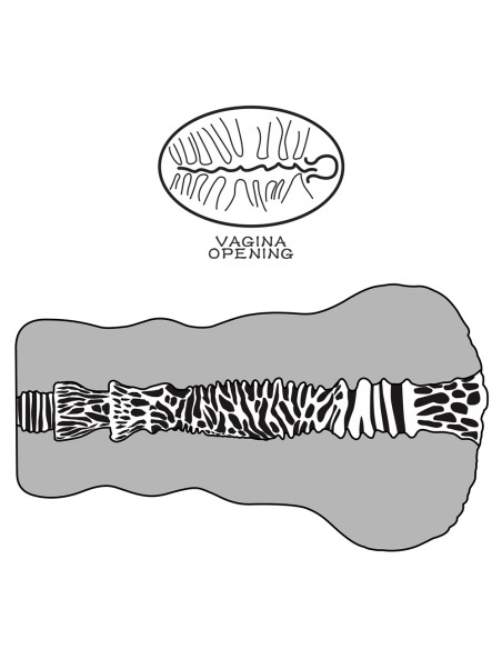 Masturbateur Pussy Alien's Pie n°2