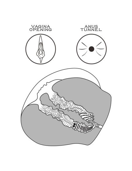 Masturbateur Pussy Streetgirl n°12 Vagin-Anus Marron
