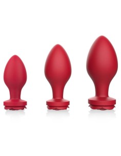 Lot de 3 Plugs Bijou Rosa Roses