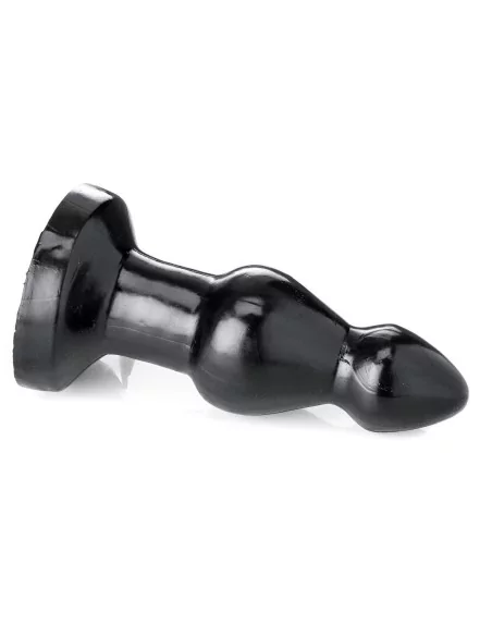 STEGOCEROS 22 x 8.5 cm