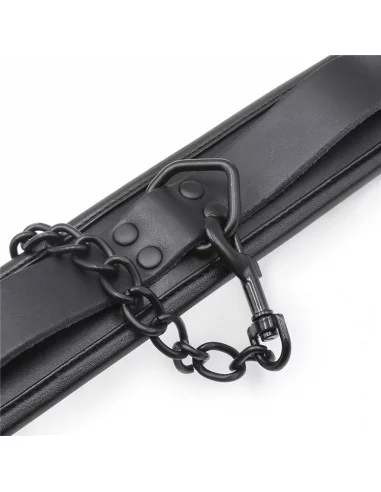 Collier Epais + Laisse