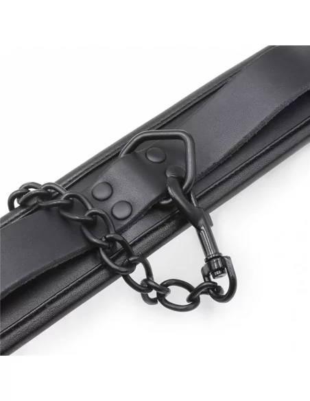 Collier Epais + Laisse