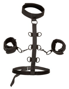 Attaches Sm Collar Body Restraint Boundless