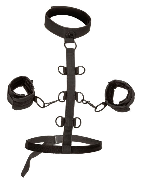 Attaches Sm Collar Body Restraint Boundless Attaches Sm Collar Body Restraint Boundless