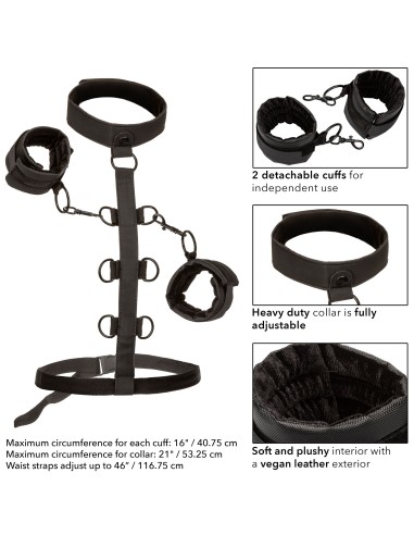 Attaches Sm Collar Body Restraint Boundless