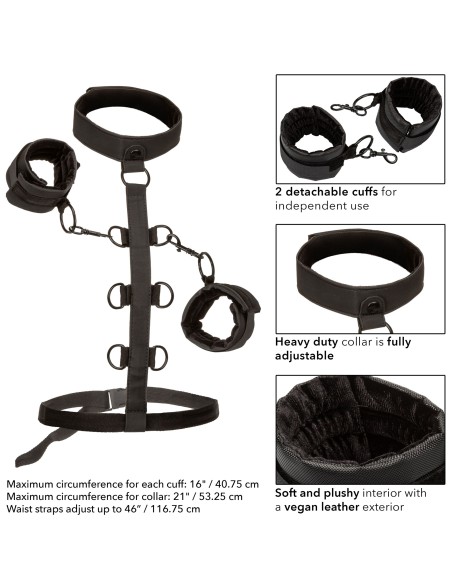 Attaches Sm Collar Body Restraint Boundless Attaches Sm Collar Body Restraint Boundless