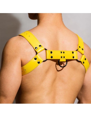 Harnais Chest All Jaune
