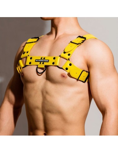 Harnais Chest All Jaune