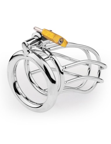 Cage de chasteté Lineale 9.5 x 3.5cm
