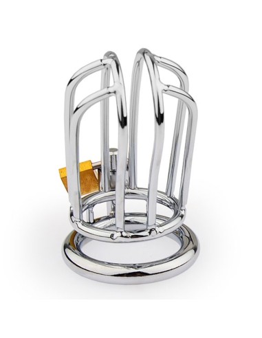 Cage de chasteté Lineale 9.5 x 3.5cm