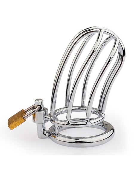 Cage de chasteté Lineale 9.5 x 3.5cm
