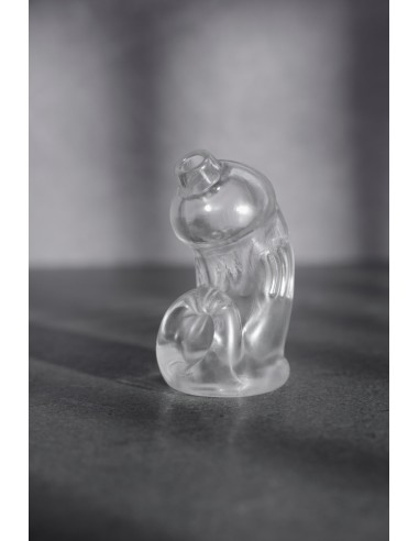 Cage de chasteté ManCage Modèle 29 - 9.5 x 3.2cm Transparente