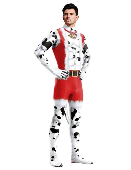 Combinaion Dalmatien de Noël