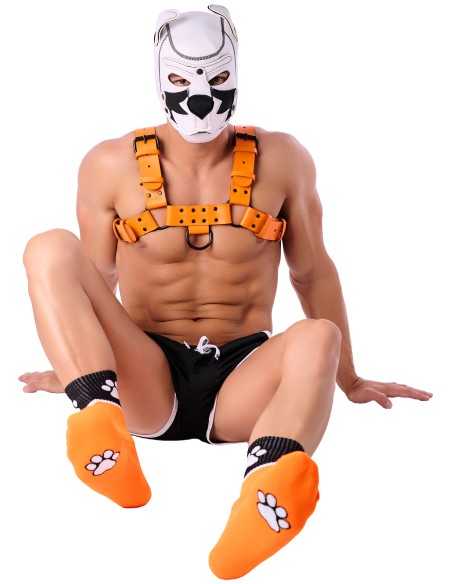 Chaussettes Paw Kinky Puppy Orange Chaussettes Paw Kinky Puppy Orange