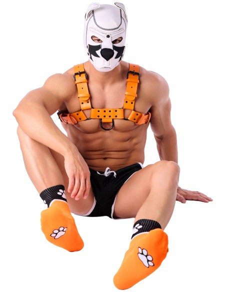 Chaussettes Paw Kinky Puppy Orange Chaussettes Paw Kinky Puppy Orange