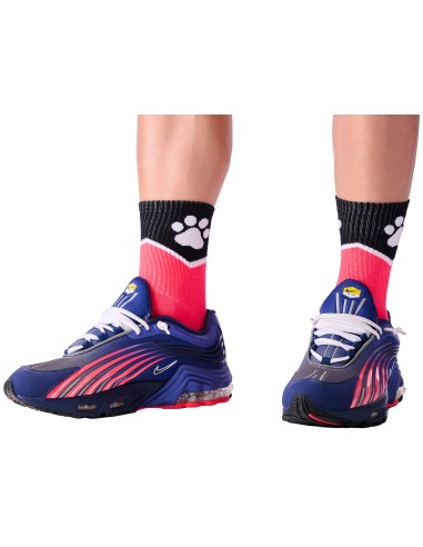 Chaussettes Paw Kinky Puppy Roses