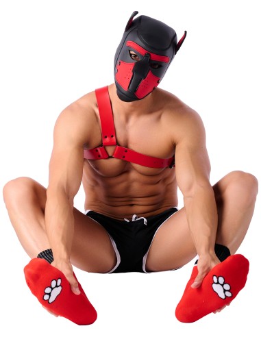 Chaussettes Paw Kinky Puppy Rouges