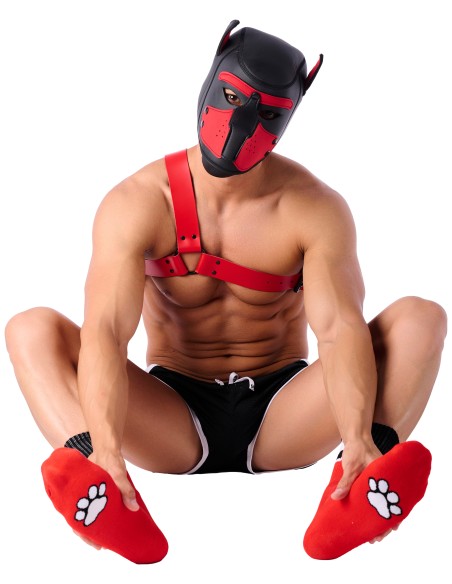 Chaussettes Paw Kinky Puppy Rouges