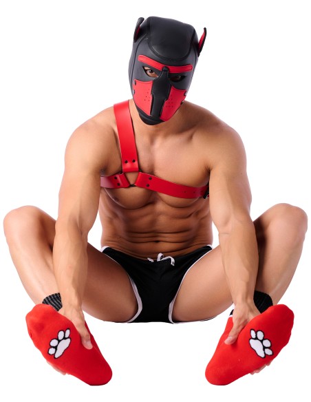 Chaussettes Paw Kinky Puppy Rouges